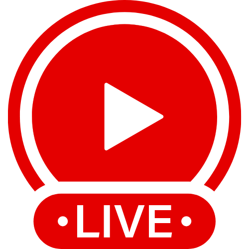 Intj Hobbies | Live Webcam Shows & Interactive Adult Entertainment